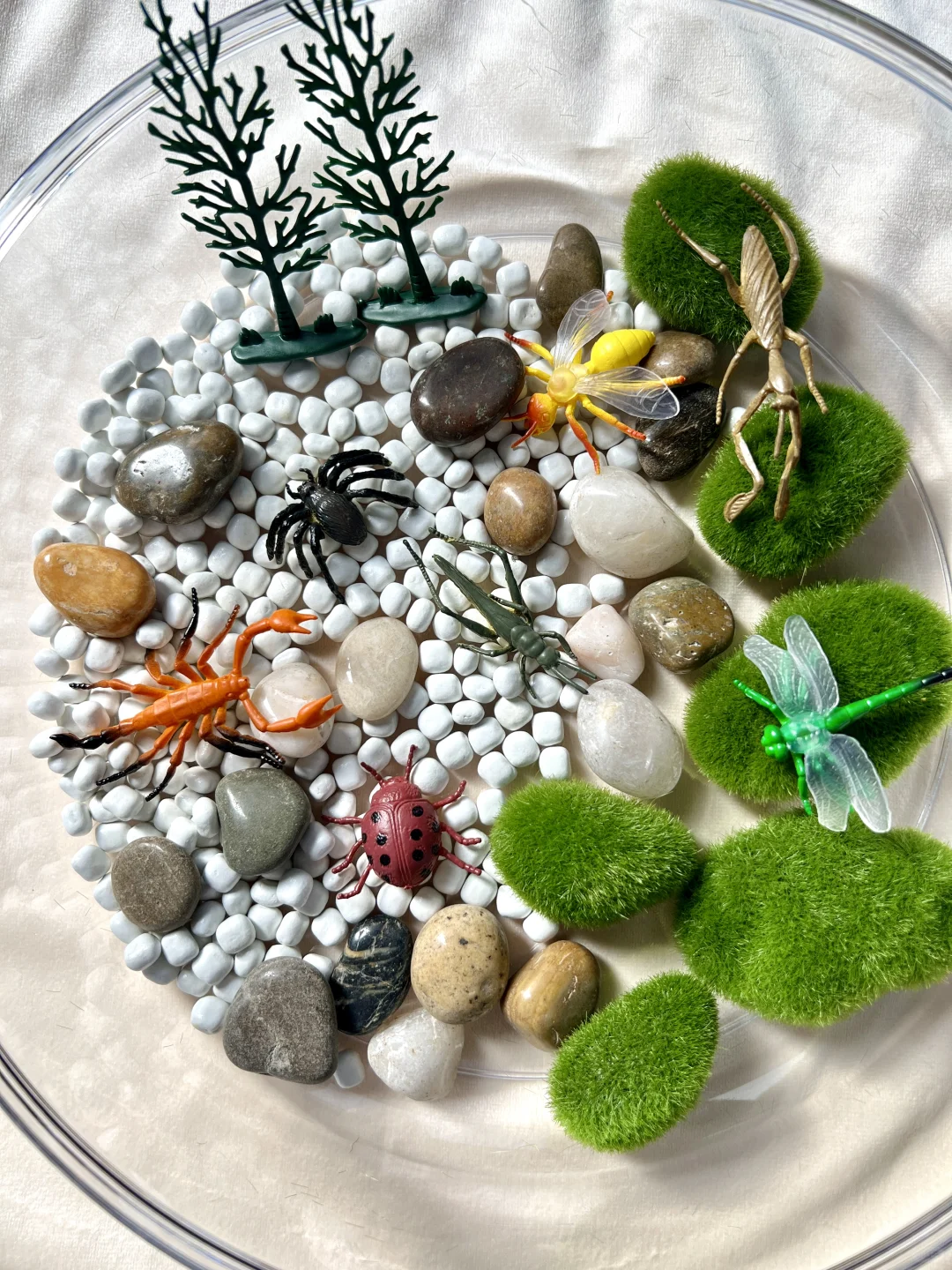 早教感官盆！陪宝宝快乐过家家~