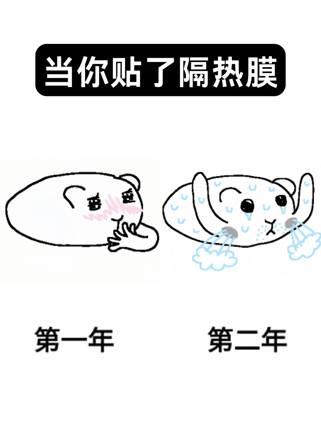 当你贴了车窗膜......