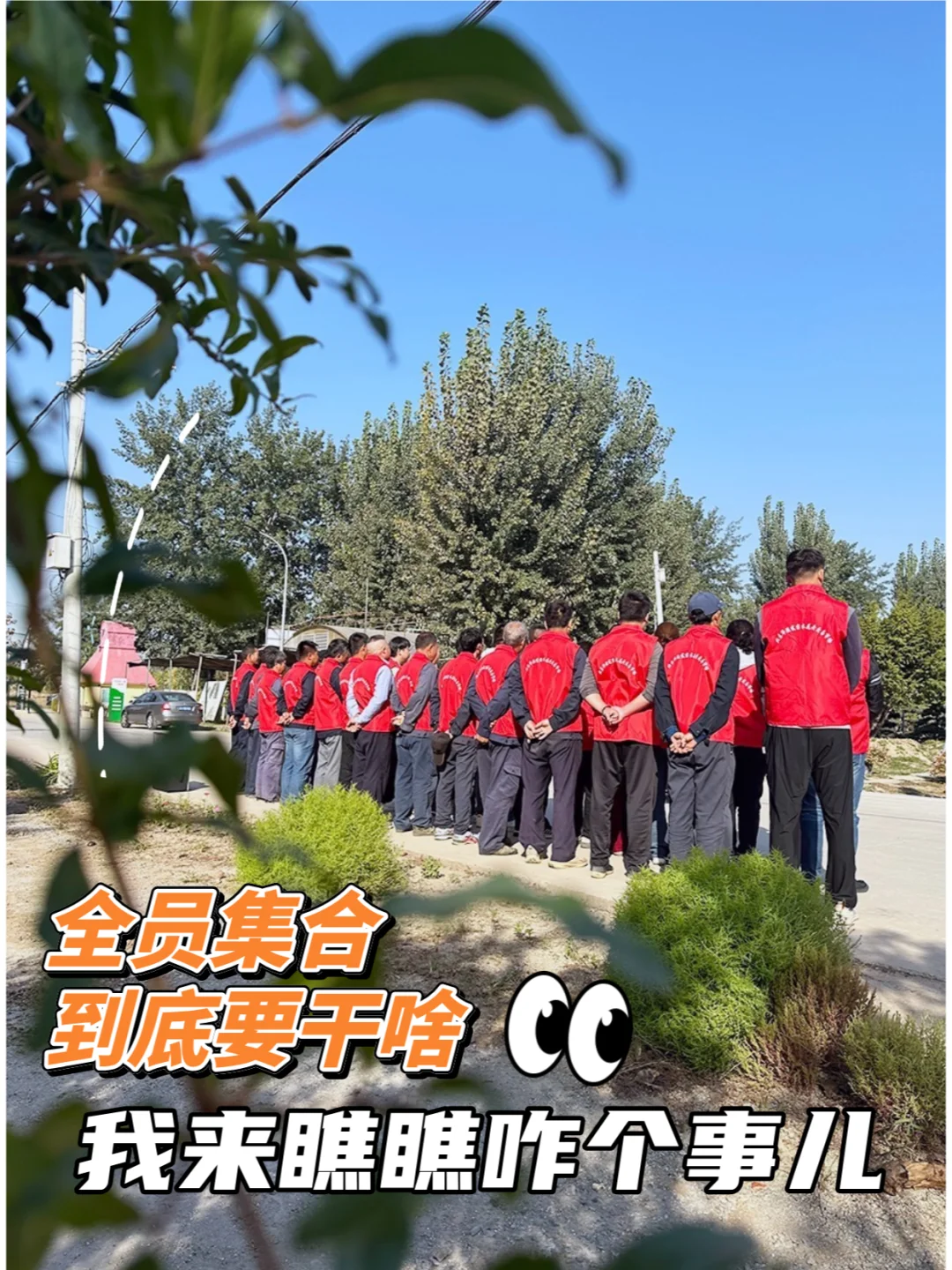 华源发又整活儿了？让我瞧瞧怎么个事儿！