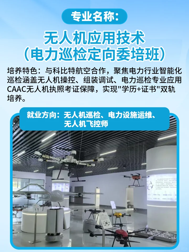 这 3 个方向就业 + 升学双 buff 待遇还贼好