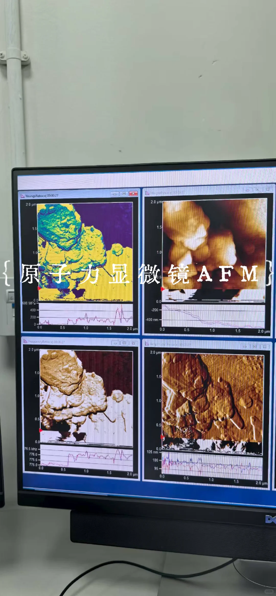 AFM真空测试锂片