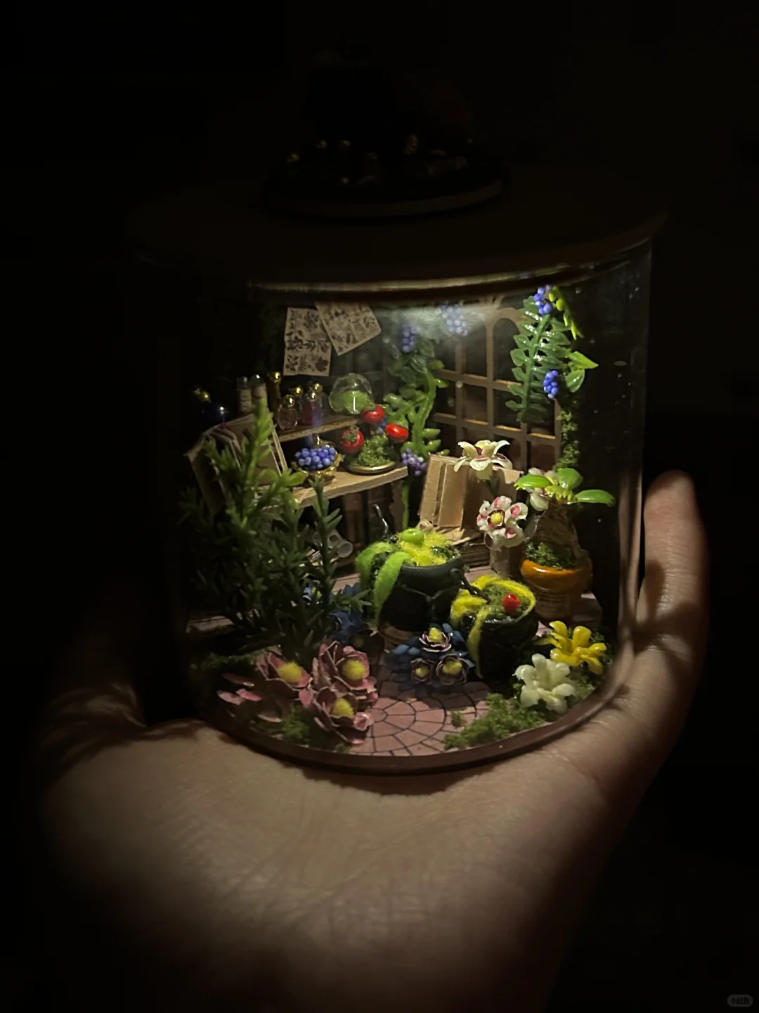 这也太适合放在工位了 直接穿越魔法花园