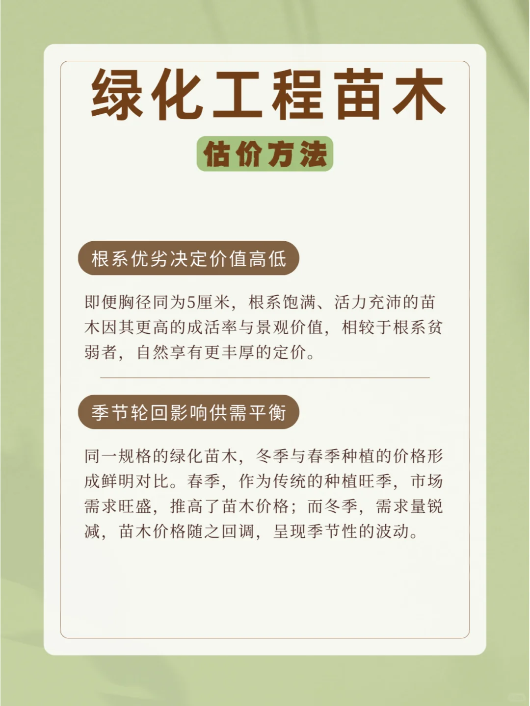 ?常用苗木规格术语及估价方法