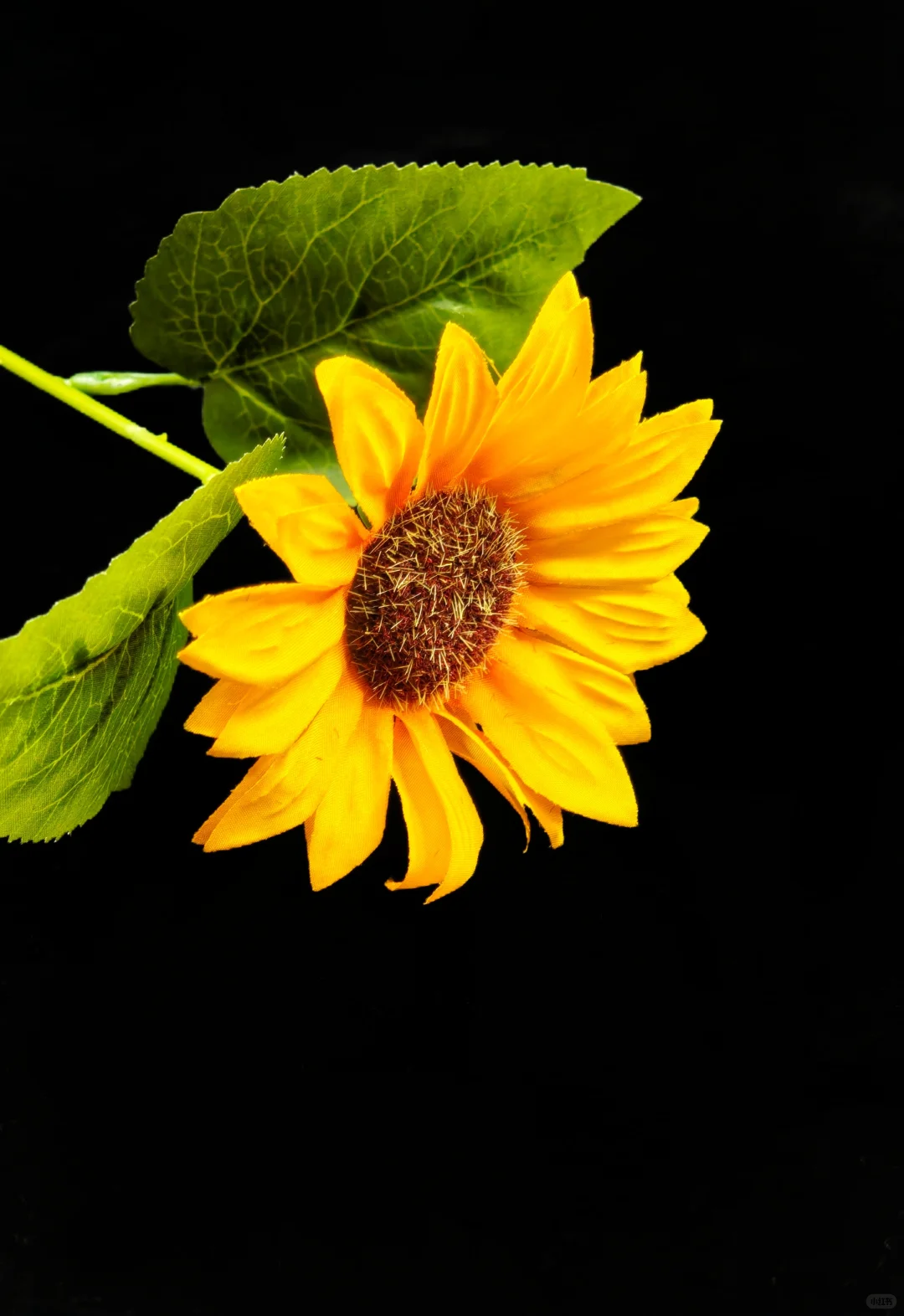 plog11 月份，换上新的风格