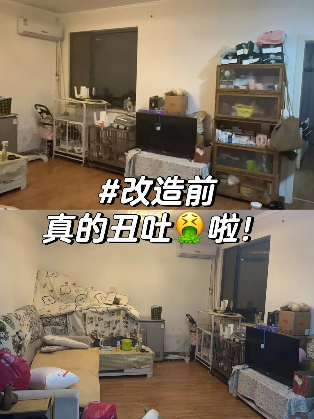 帮粉丝全屋改造小清新风❗
