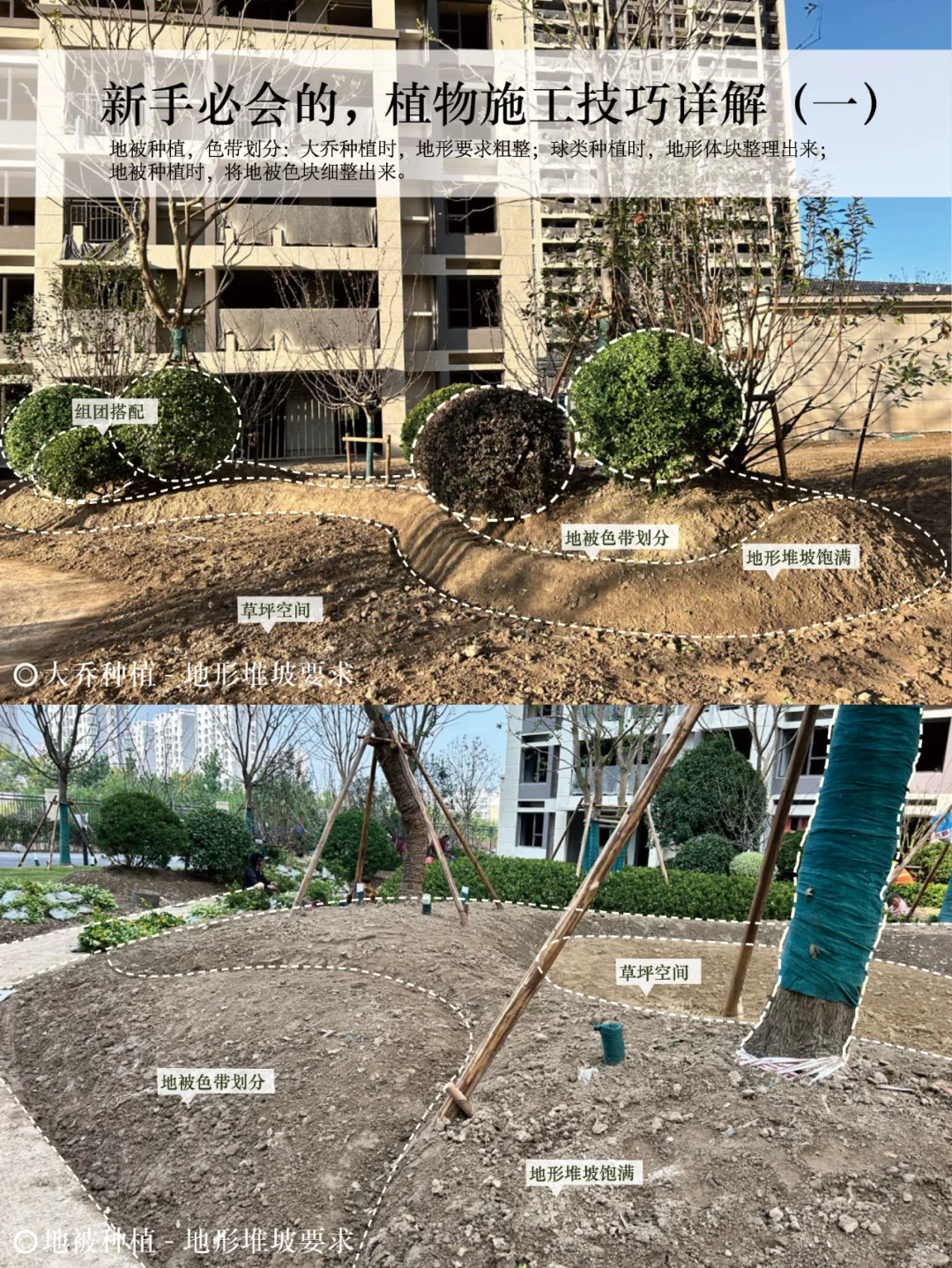 新手必会的,植物施工技巧详解(一)