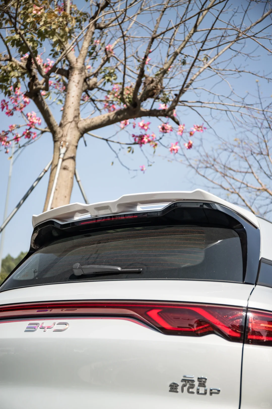 原创设计 MC外观套件