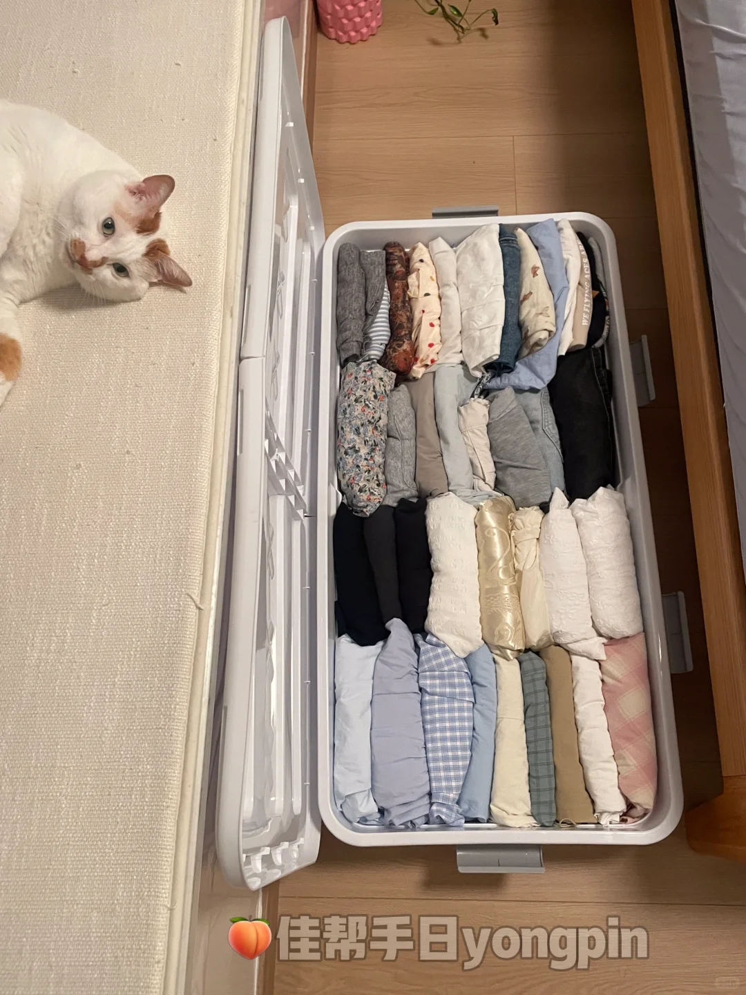 救敏！谁大半夜还在换季大整理啊！是我！?