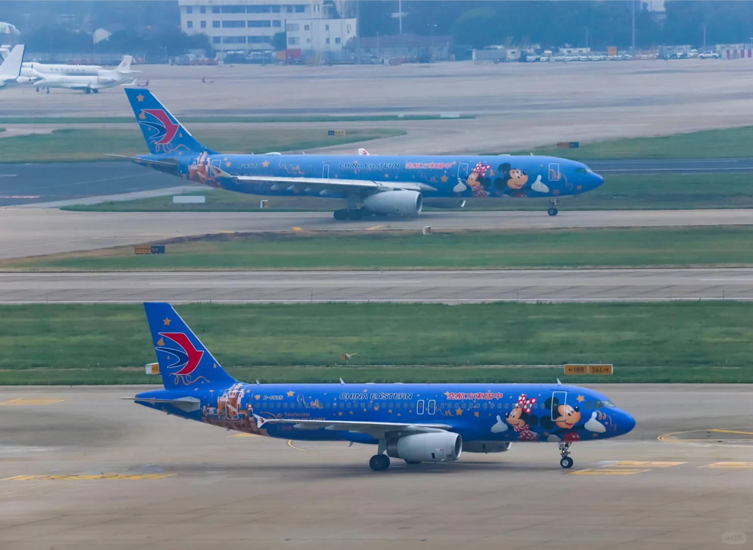 国庆回顾——东航迪士尼彩绘史诗级同框!