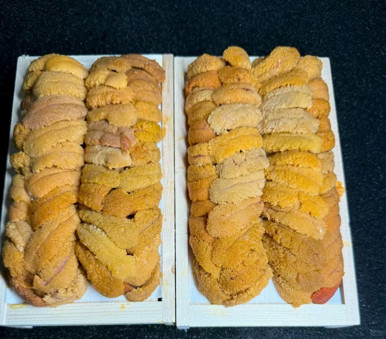 海胆脑袋冲冲冲