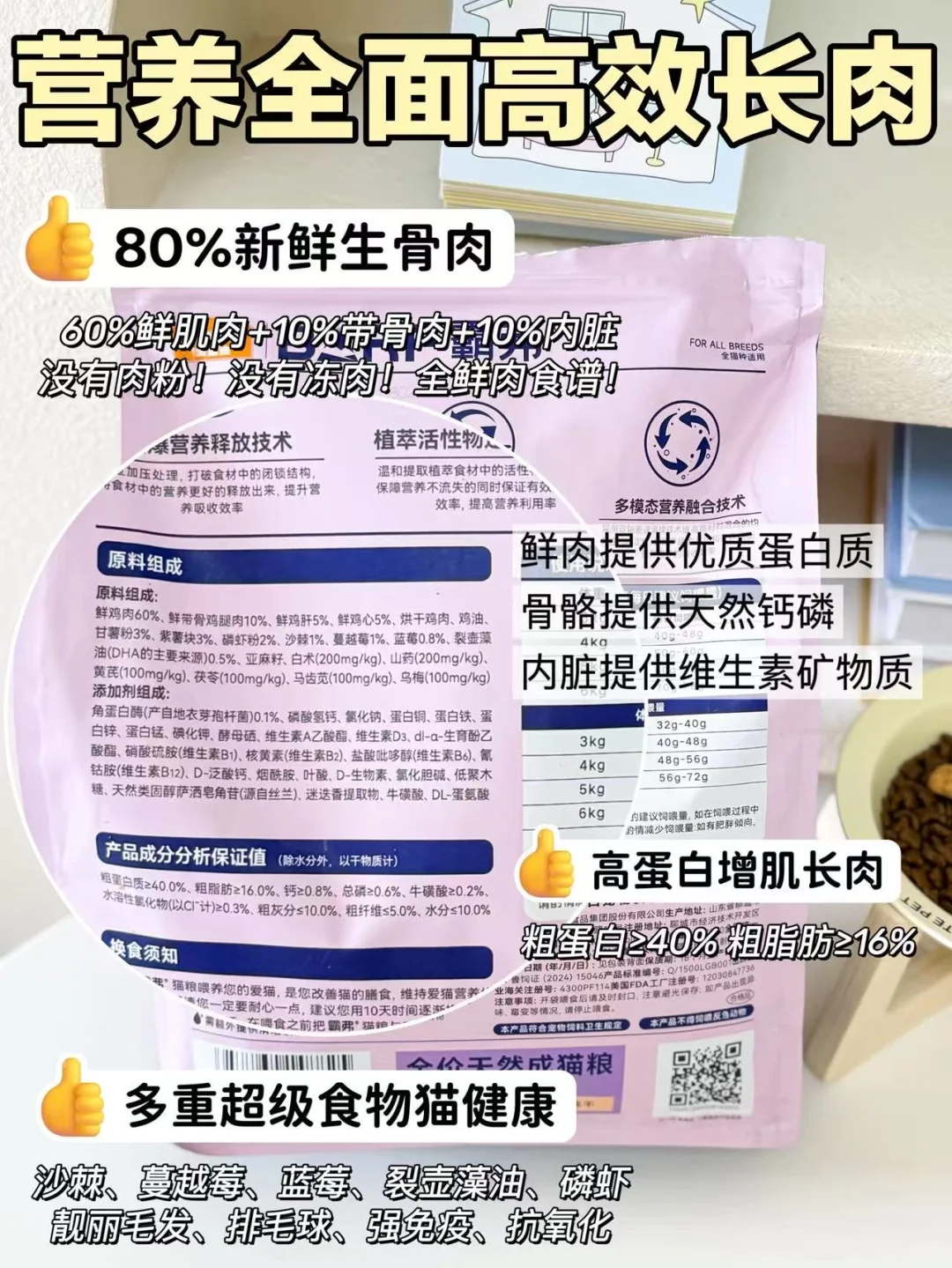 猫咪太瘦不好看❓两步让小猫轻松长肉发腮！