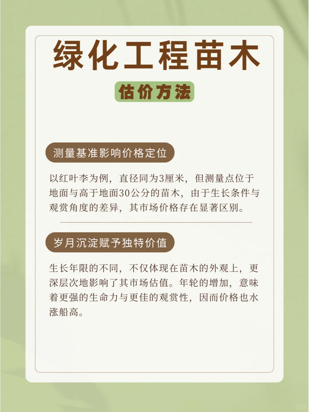 ?常用苗木规格术语及估价方法