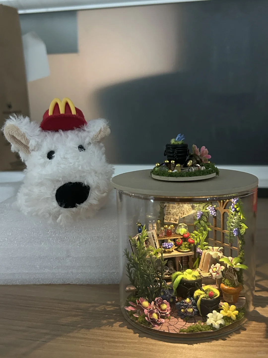 这也太适合放在工位了 直接穿越魔法花园