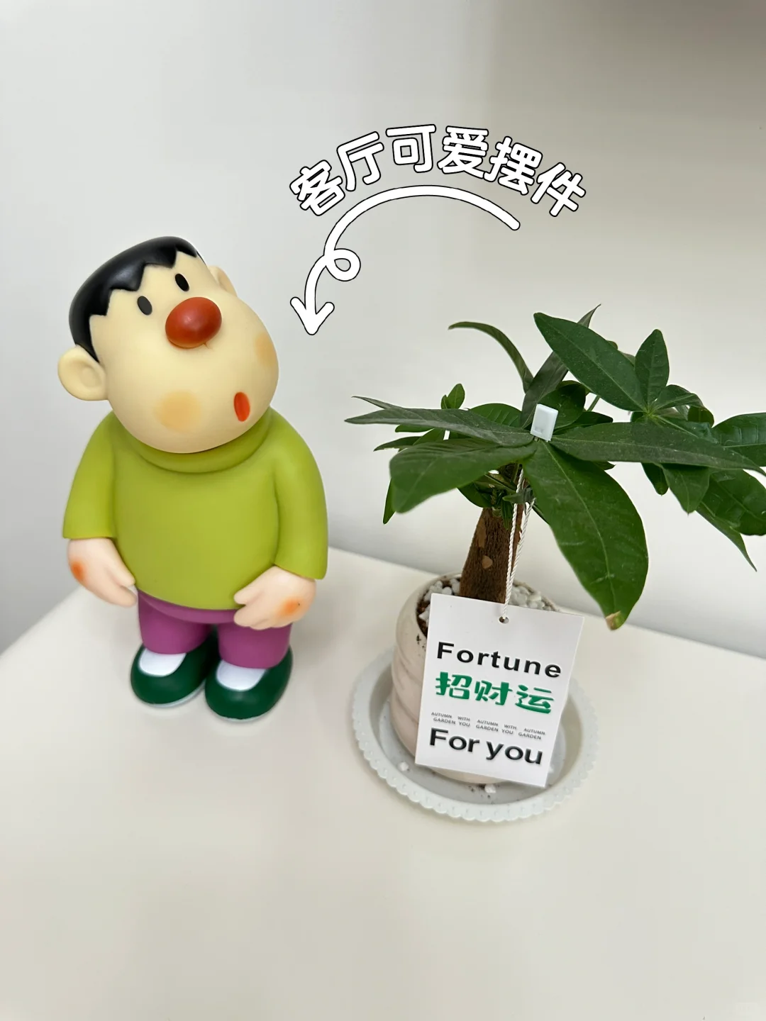 新家的100个快递?|高颜值又实用好物推荐?