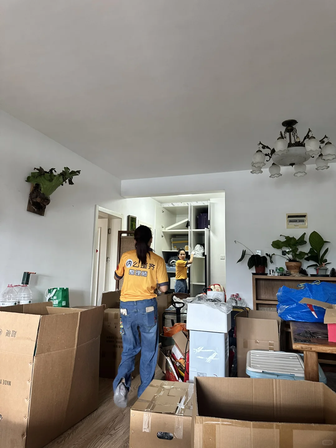 干净是一个家最好的风水