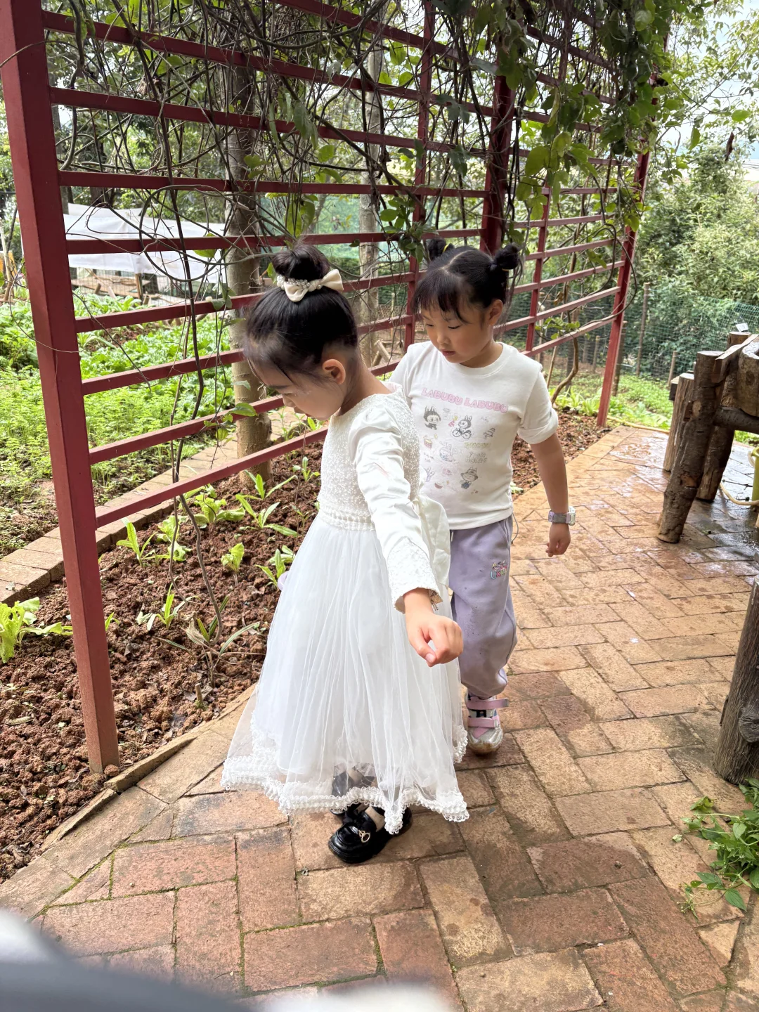 玉溪周边研学活动，石头彩绘