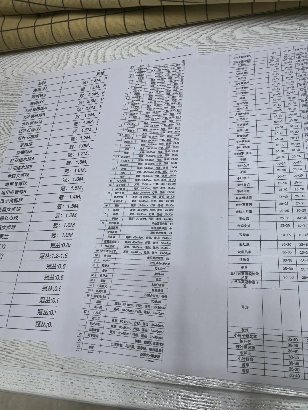 绿化苗木人，谁懂“办不完价”的痛?