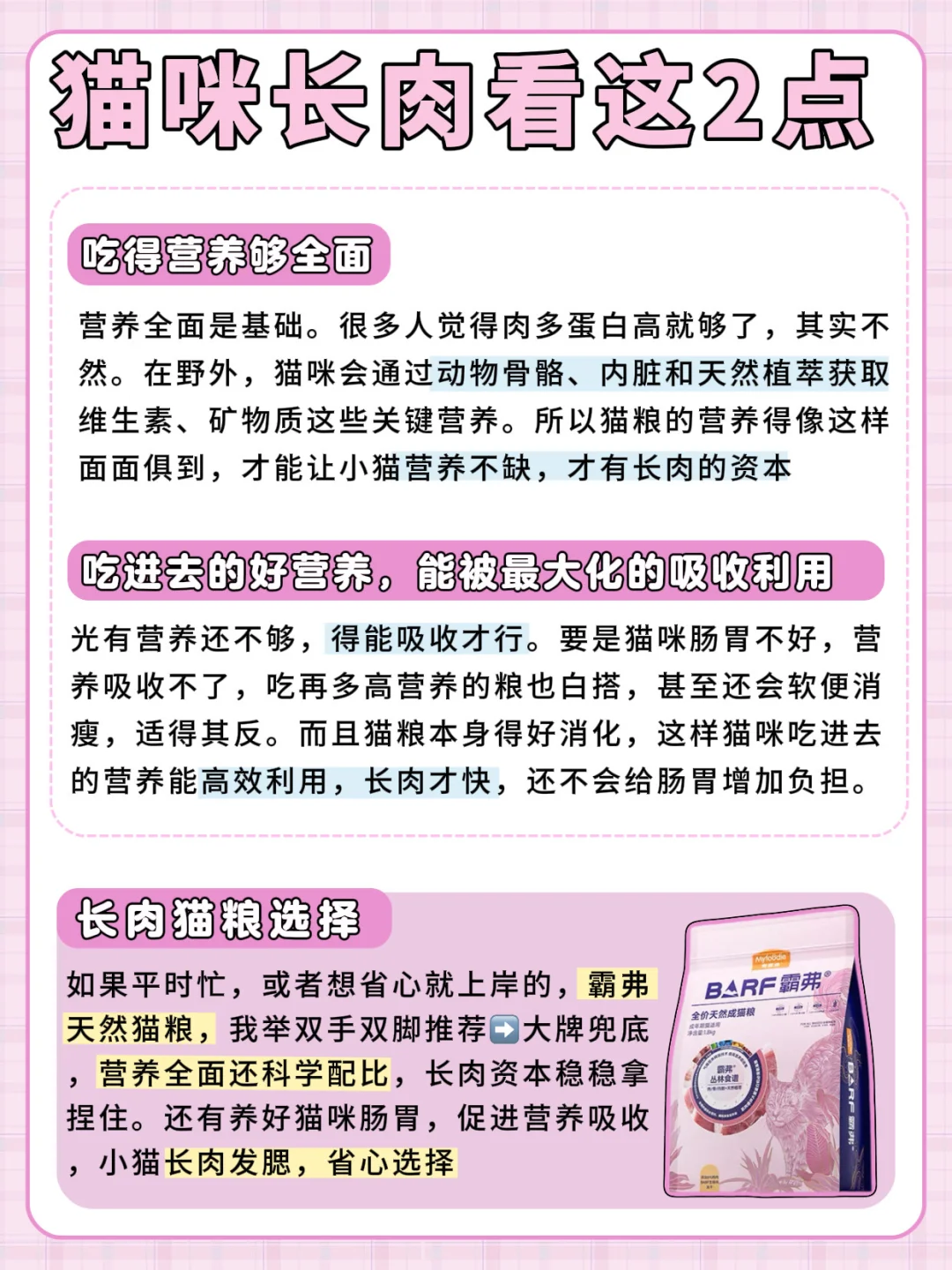 猫咪太瘦不好看❓两步让小猫轻松长肉发腮！