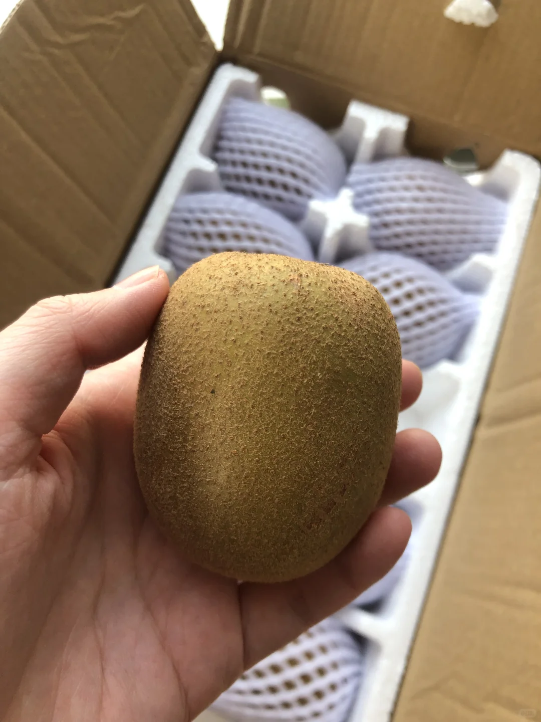 比盒马的猕猴桃?好吃泰多啦！