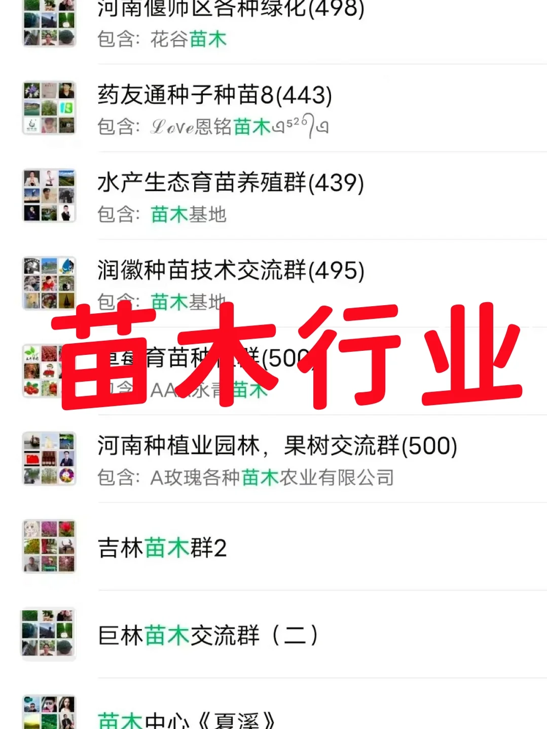 ?苗木人集合！这些内部资源群你一定需要