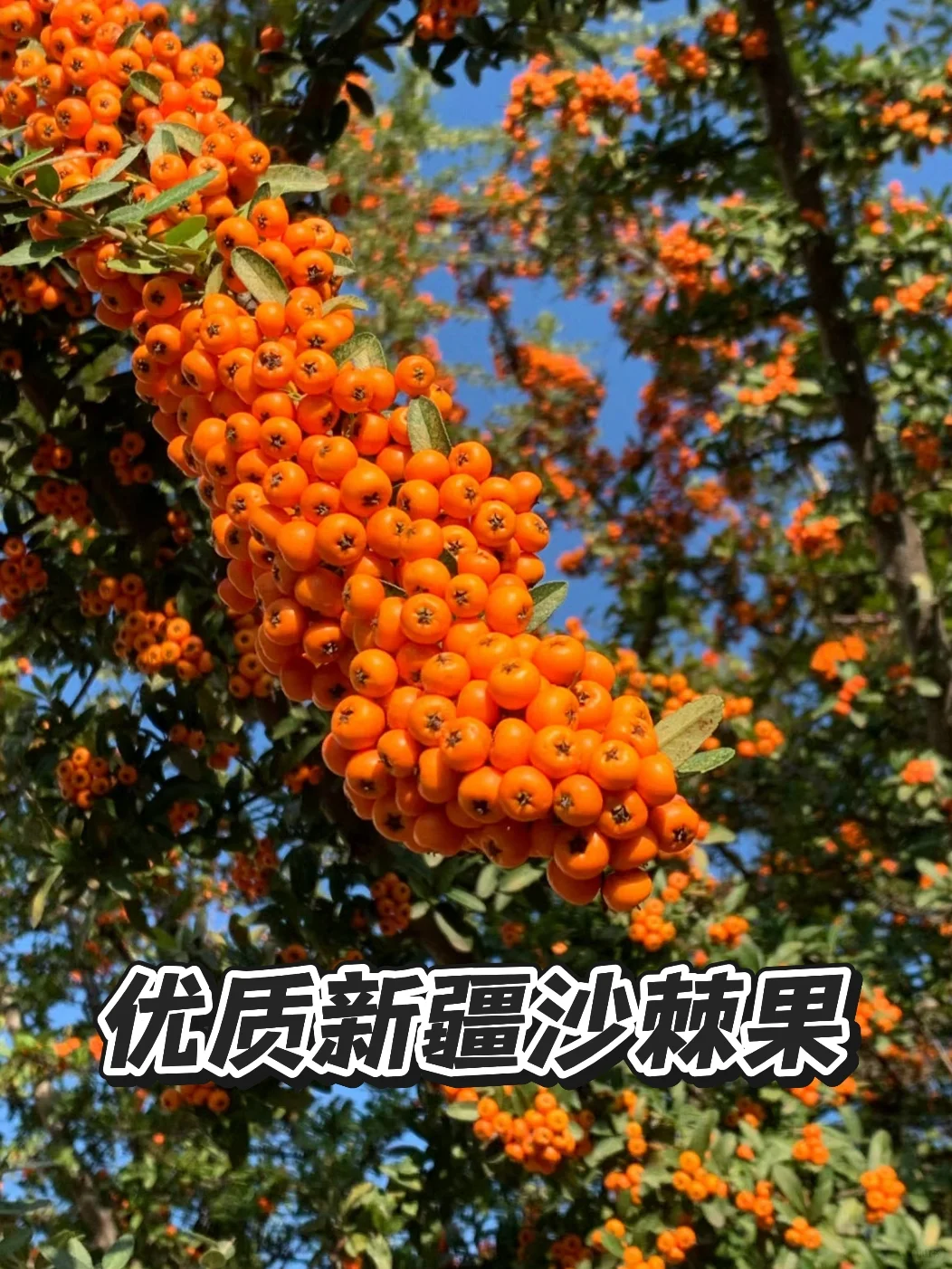 我的续命神器就这样被发现了？