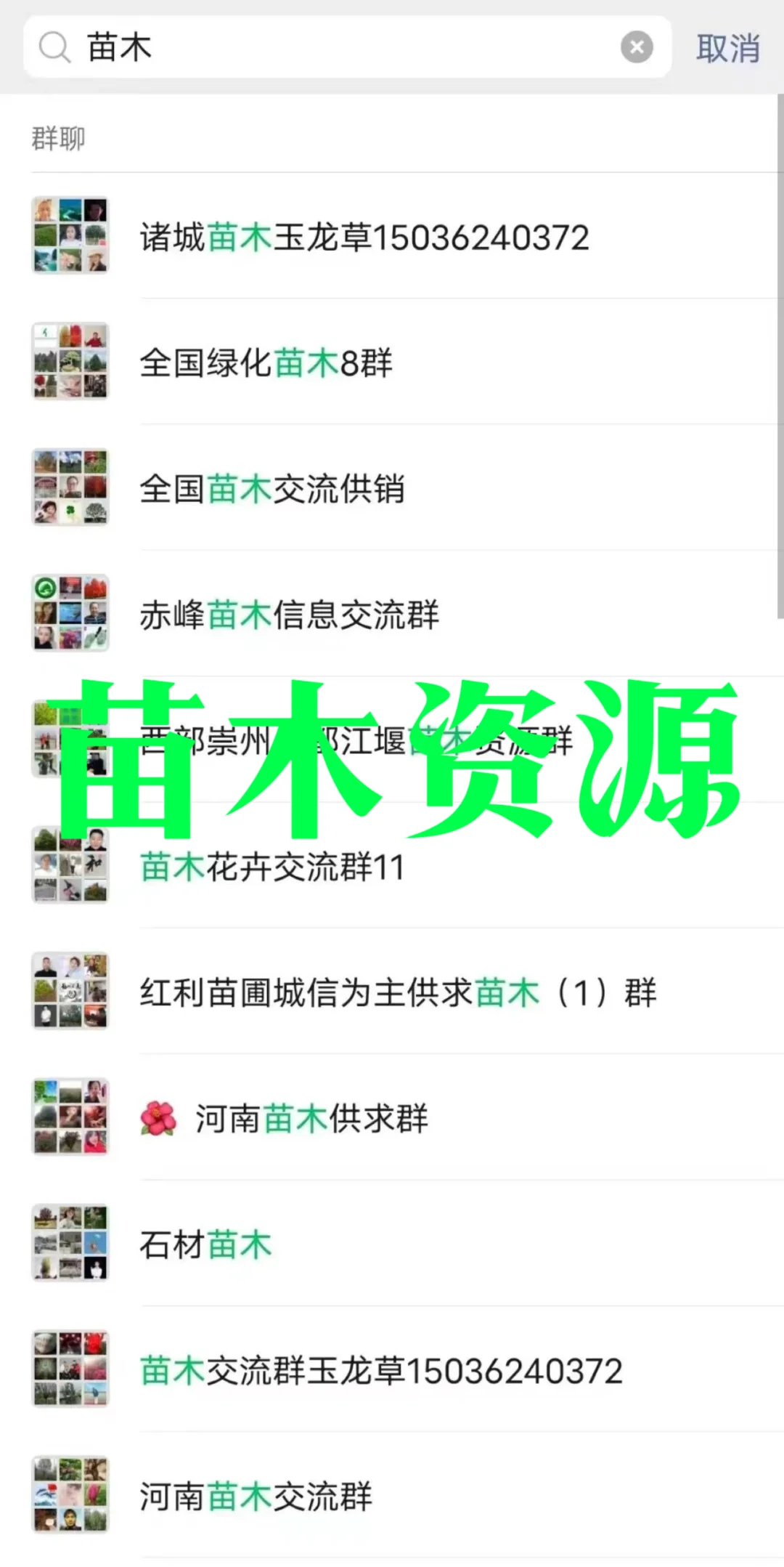 ?苗木人速来!全国工程/绿化/稀缺品种资