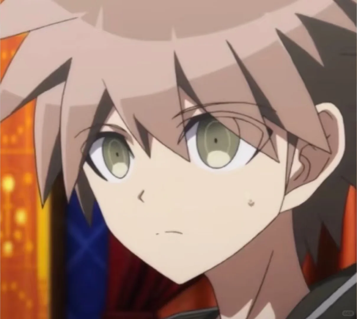 苗木真的太可爱了！！！！求求此男的冷知识