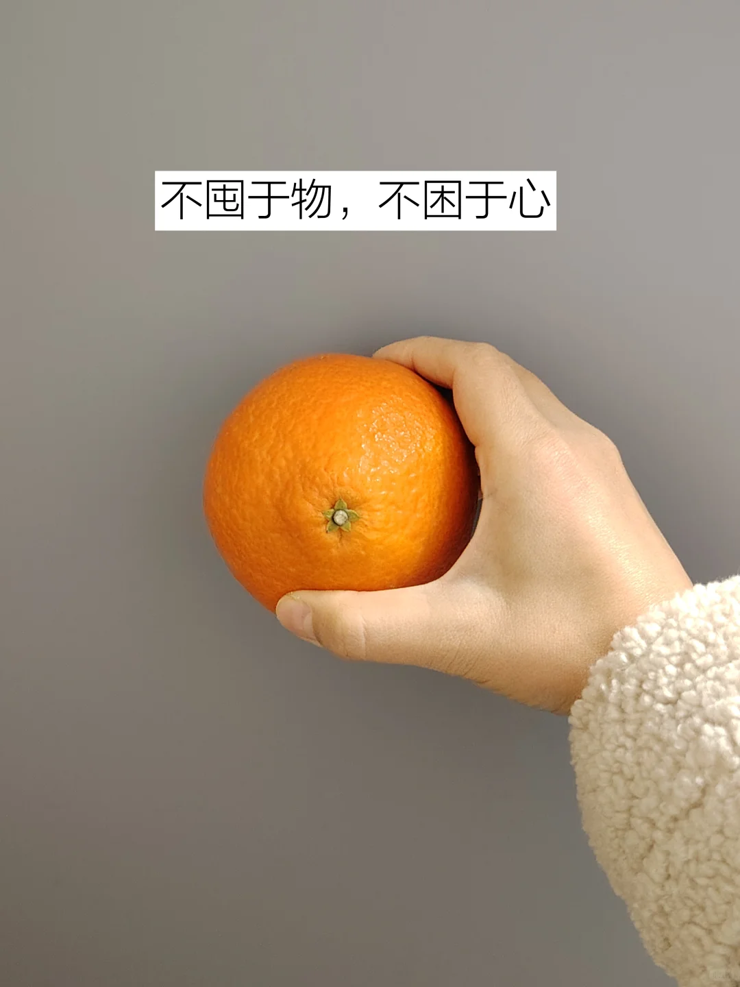 布局2025，不囤于物，不困于心