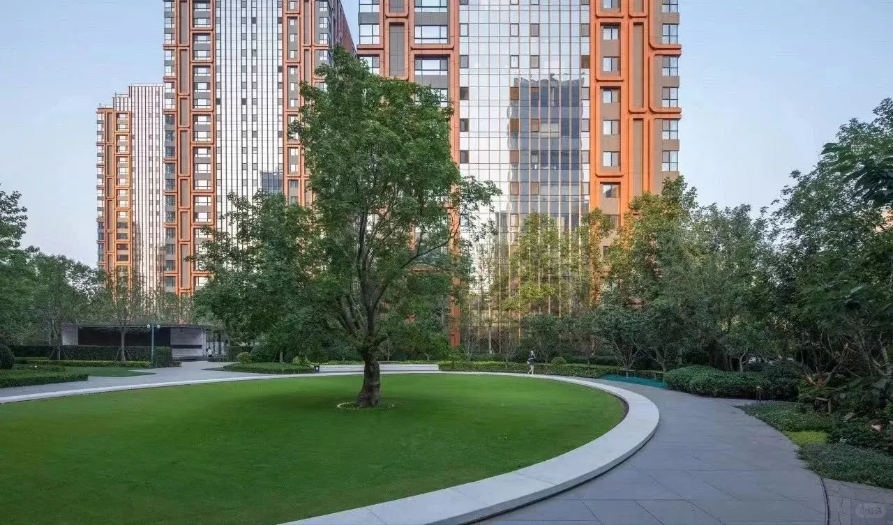 必存|号苗那些事儿