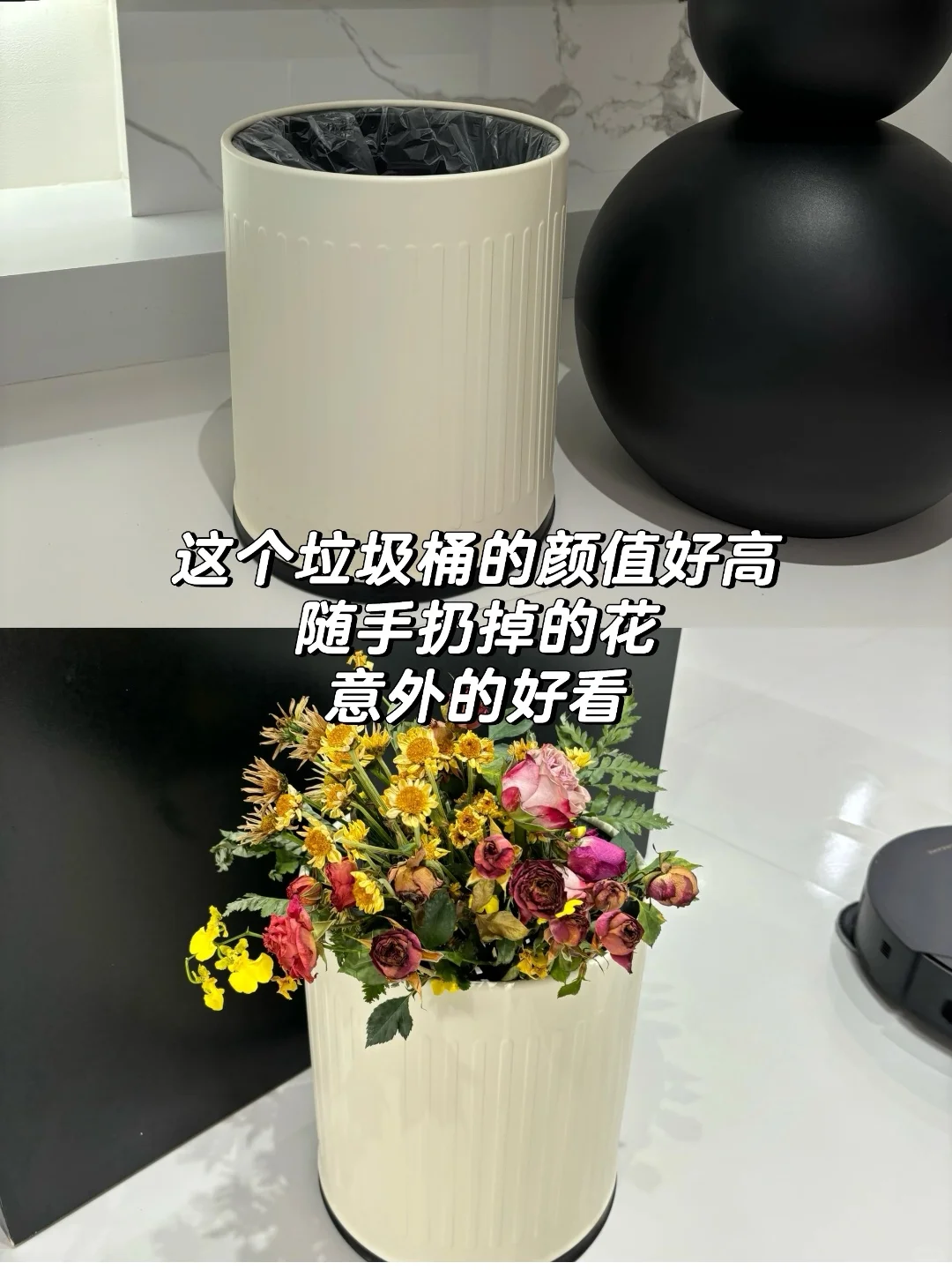 救命?新家怎么能少得了他们幸福感up‼️