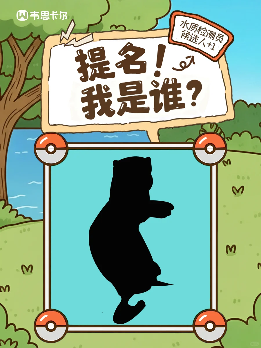 ?九寨沟神秘候选人曝光！TA是谁？?