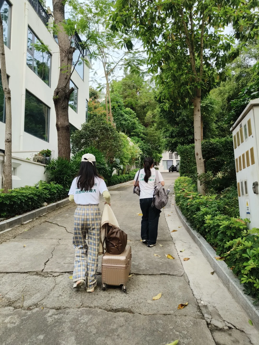 南山别墅整理进行中，小姐姐从上海穿越深圳