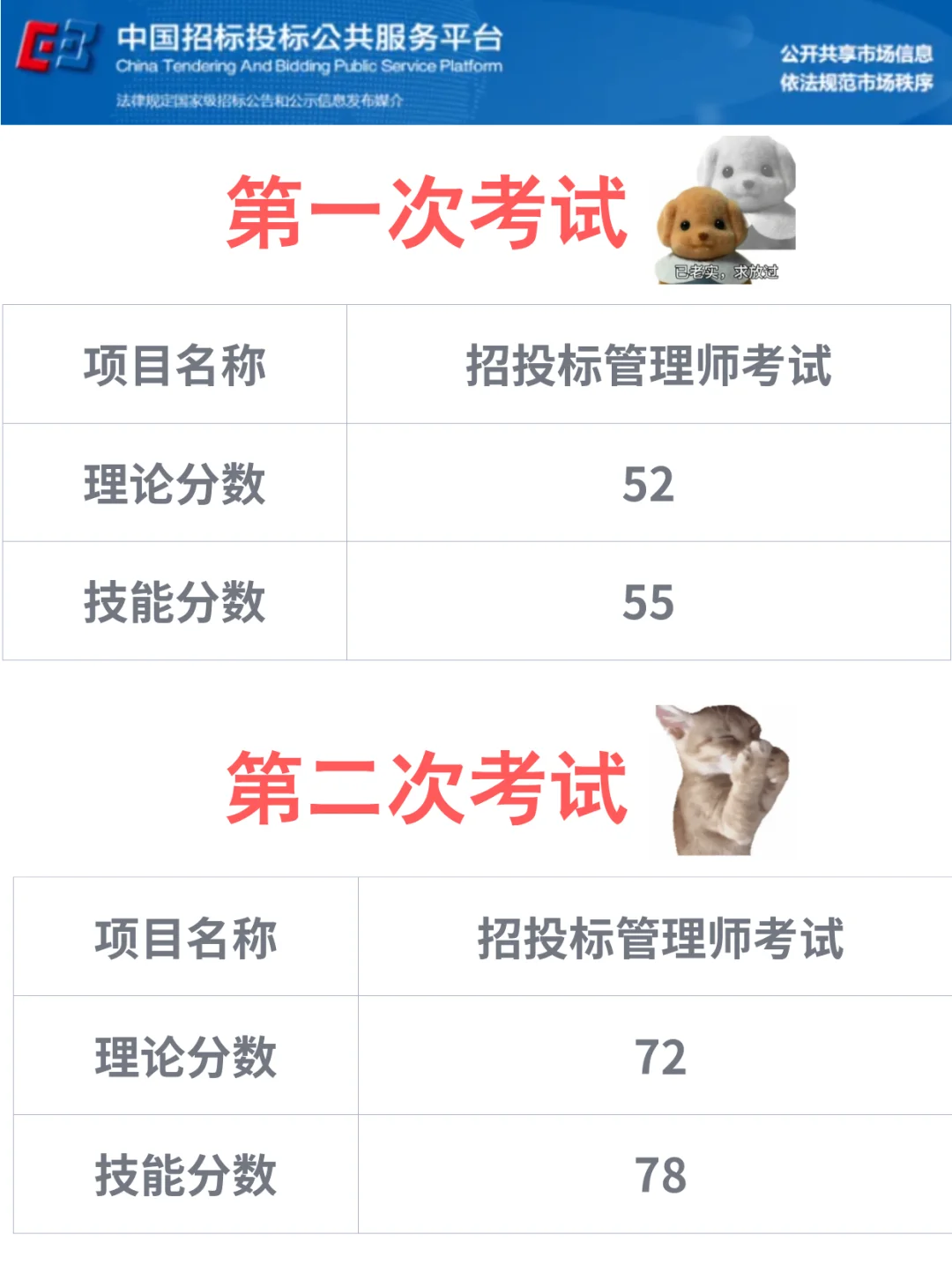 家人们我悟了!招投标管理师原来这么考啊!