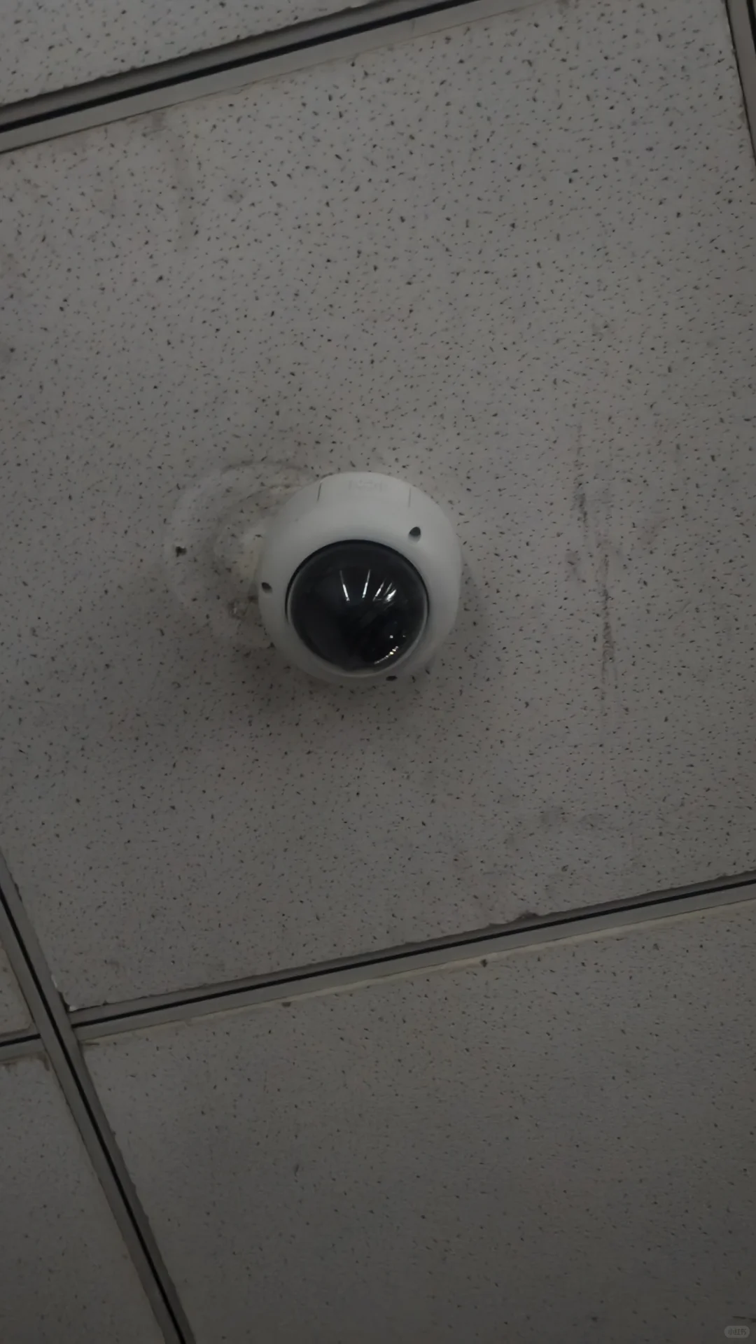 怎么判断摄像头有没有开