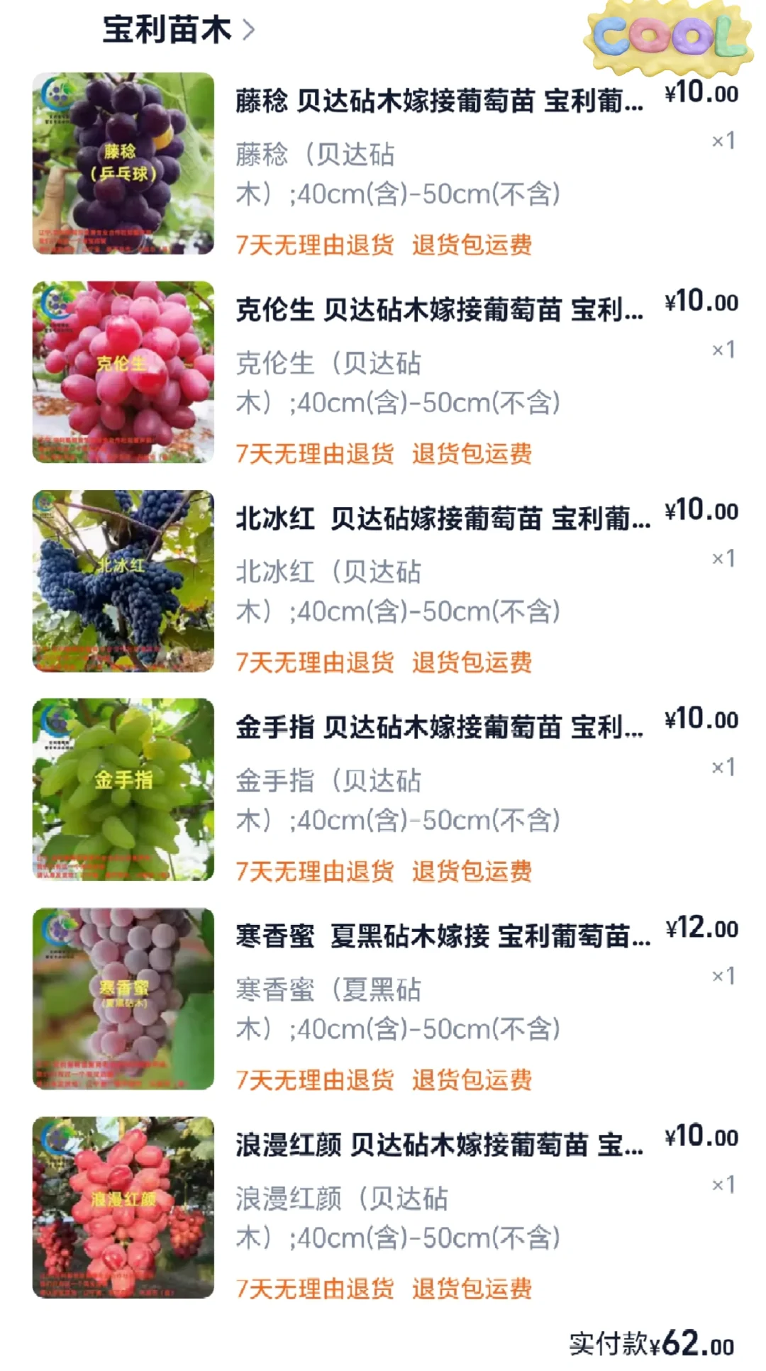 葡萄苗靠谱店铺大全(2块一棵,快冲)