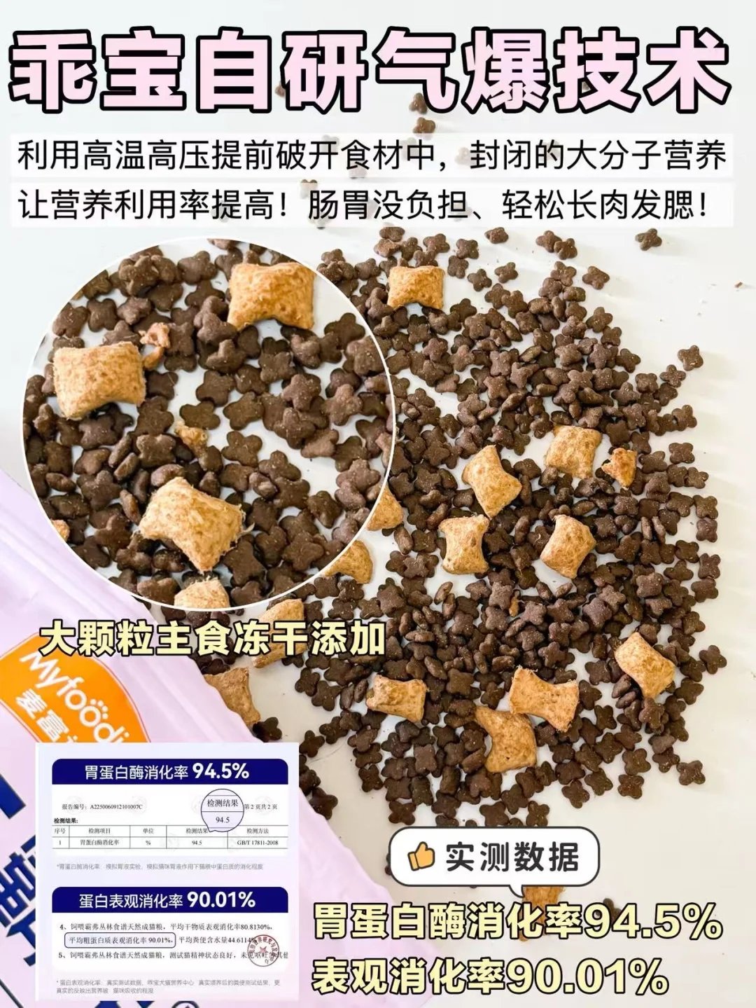 猫咪太瘦不好看❓两步让小猫轻松长肉发腮！