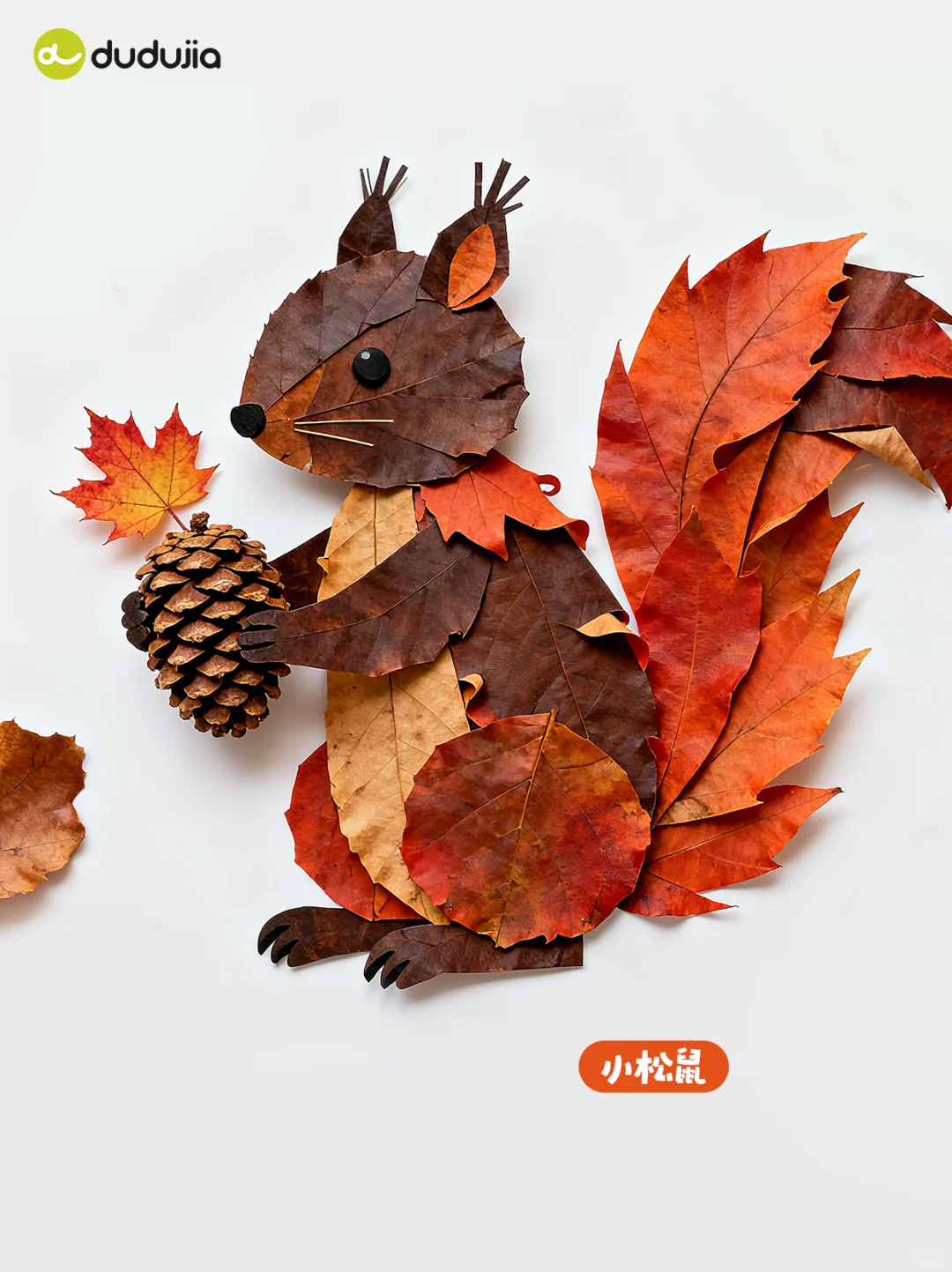 捡到五颜六色的秋天?做成秋日手帐