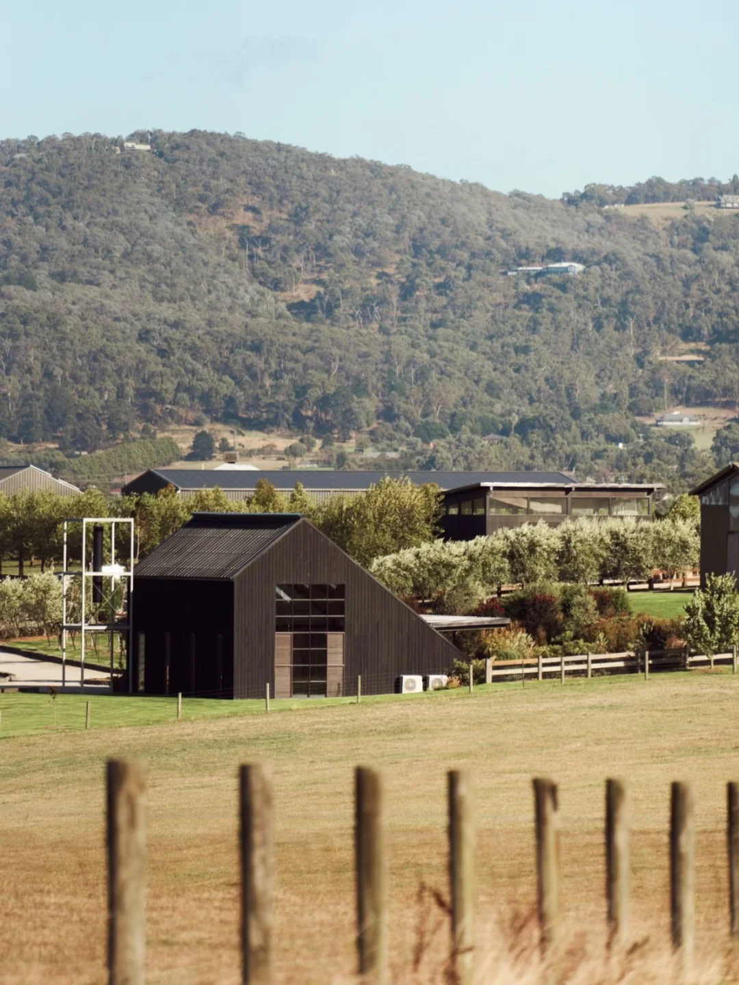 进博会邀请函‼️佐佐庄园招募品鉴官?