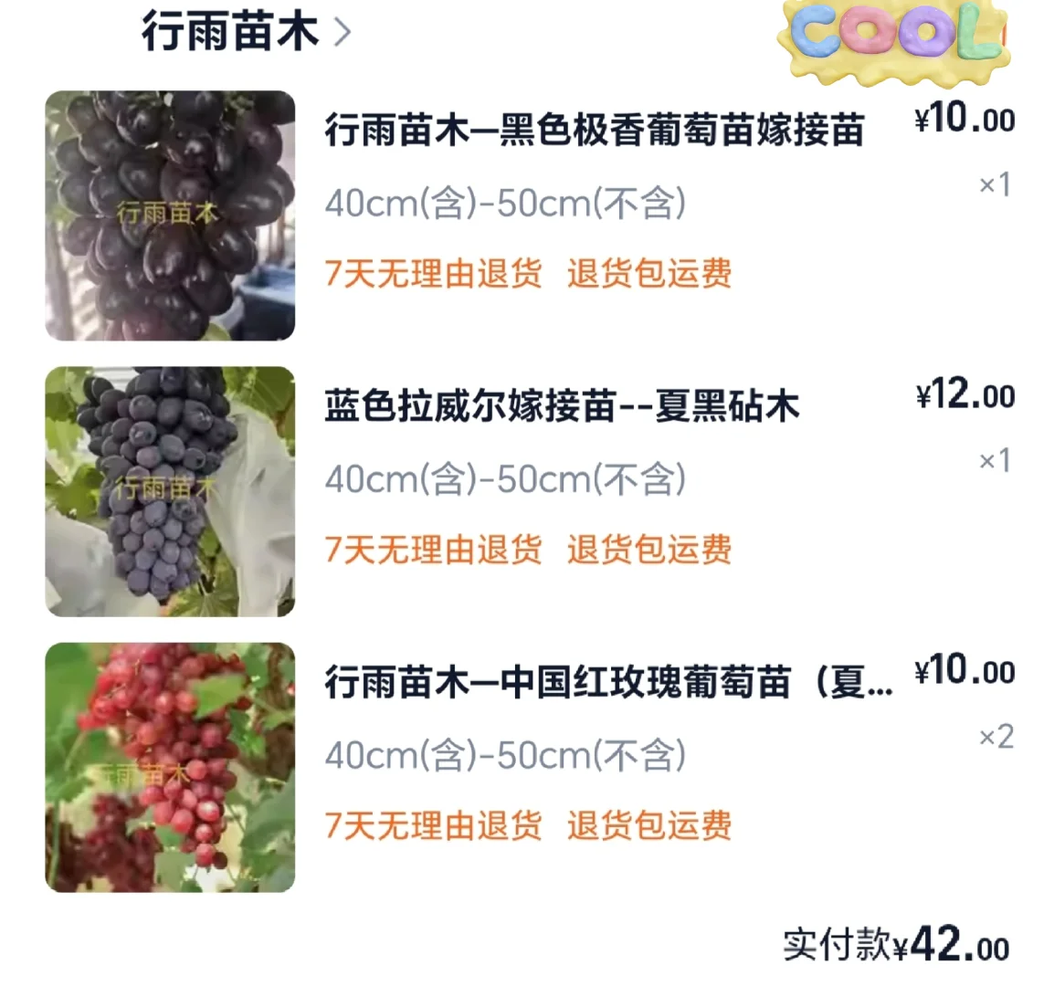 葡萄苗靠谱店铺大全(2块一棵,快冲)