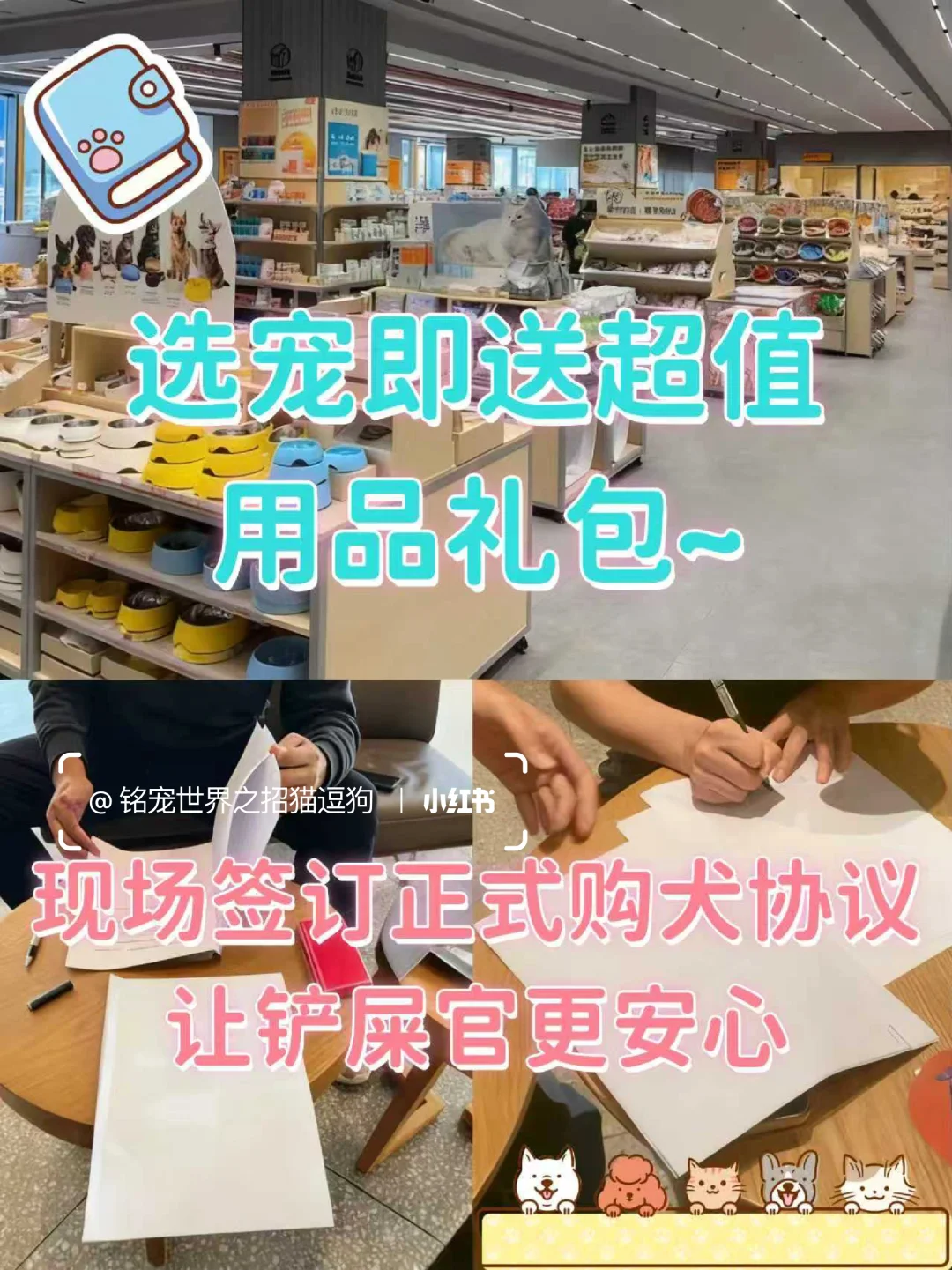 北京养宠人狂喜?挖到一家神仙犬舍!