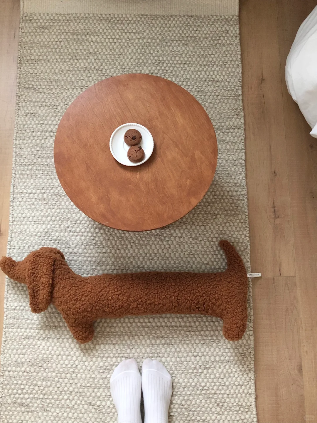 夏天,呆在我干净舒适的出租窝