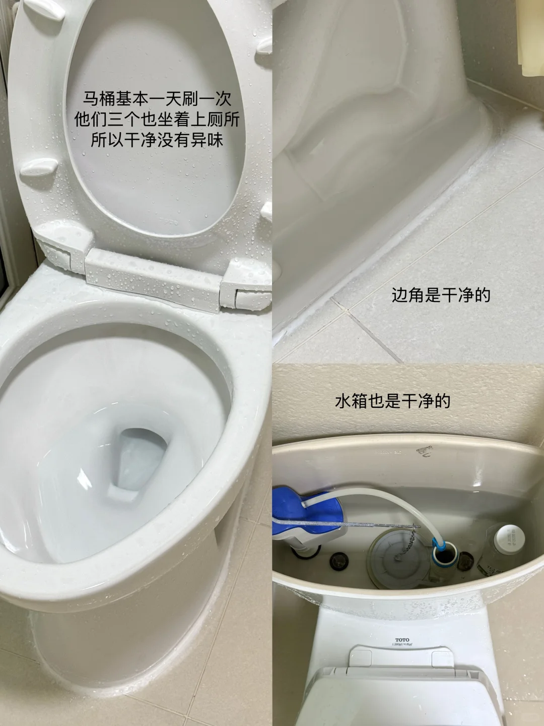 6年卫生间的清洁收纳 盆盆上墙方法分享