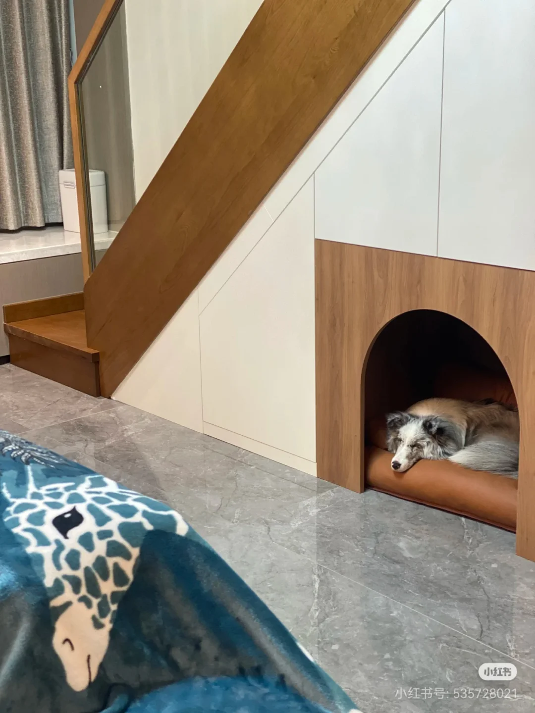 为狗狗设计的家中小角落