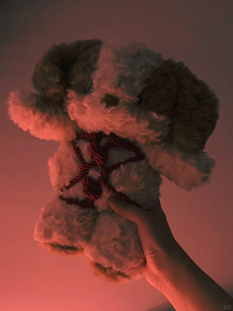 潍坊鬼市2.0摊主名单公布|等你入局啦!