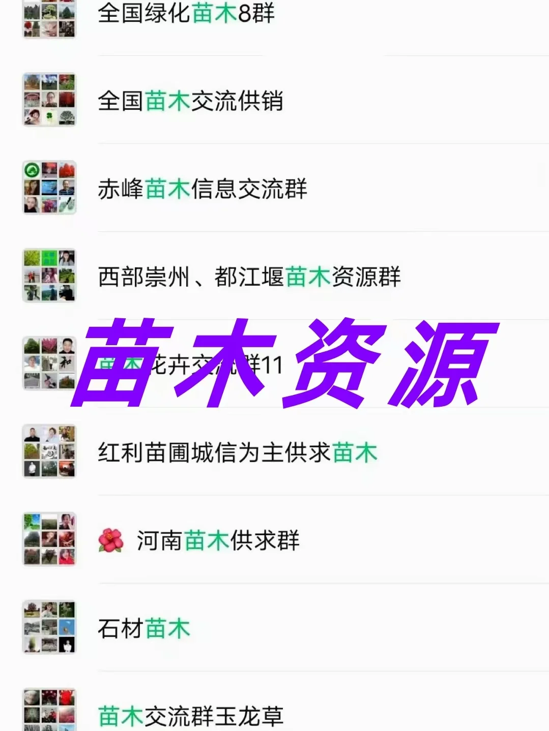 苗木人必看！全国超实用苗木交流群合集来了