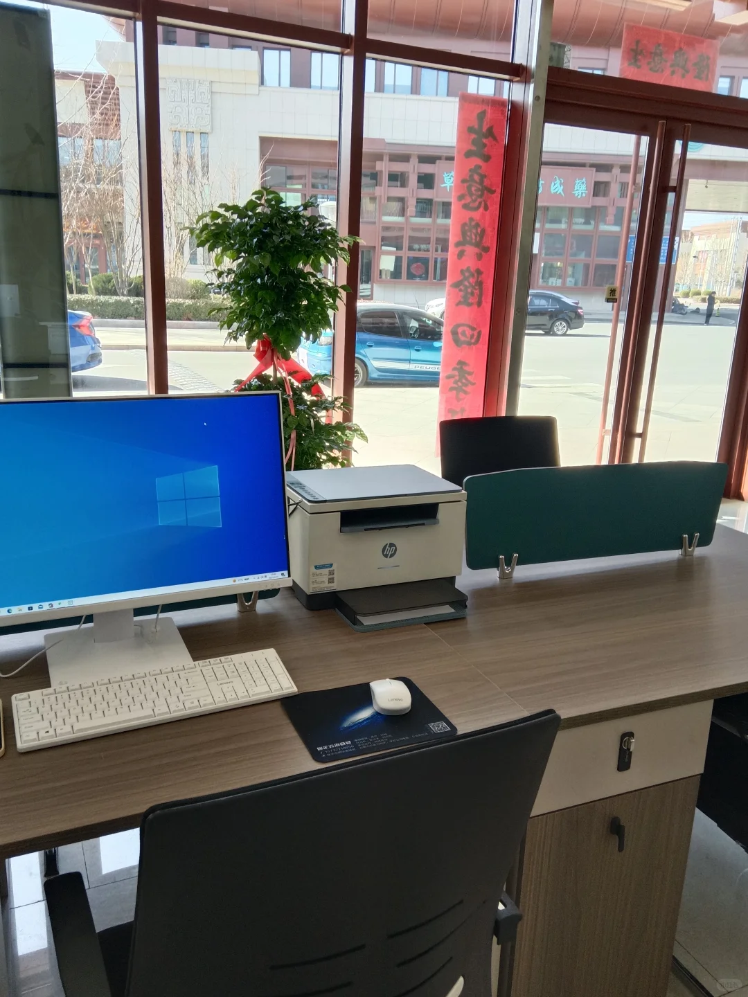 苗木讲解无经验也可！！有嘴就行