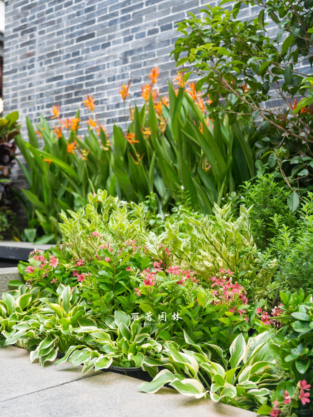 如何拥有层次丰富且易维护的长效花境景观?