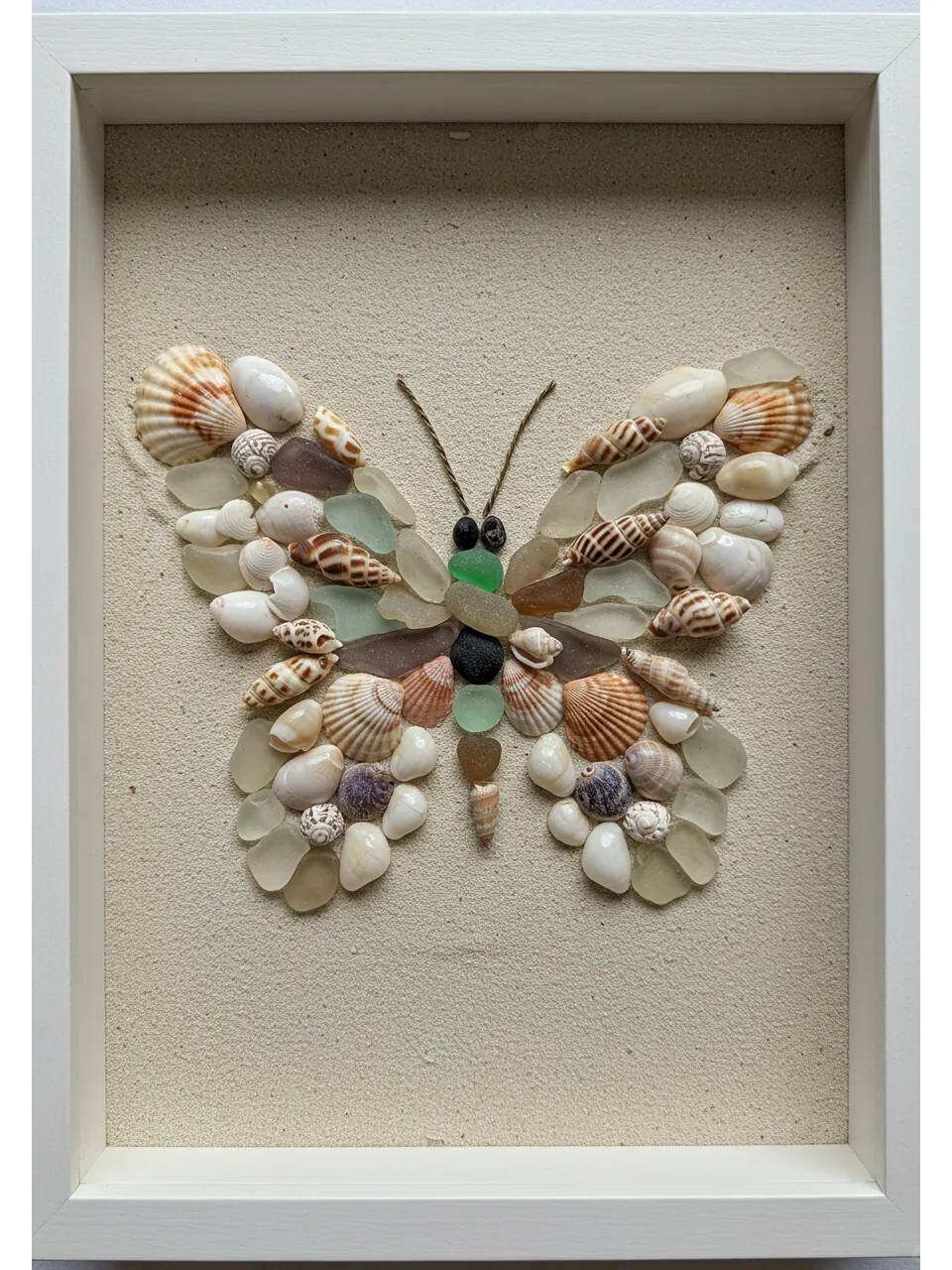 ?一秒穿越到海边!?贝壳DIY蝴蝶?