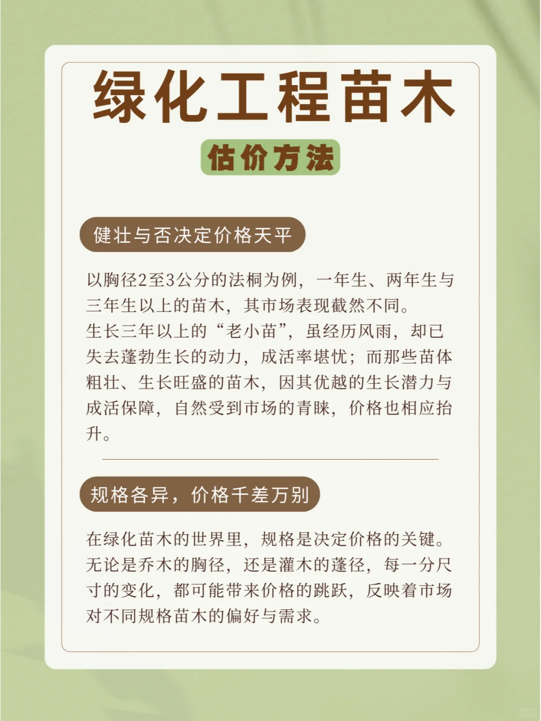 ?常用苗木规格术语及估价方法