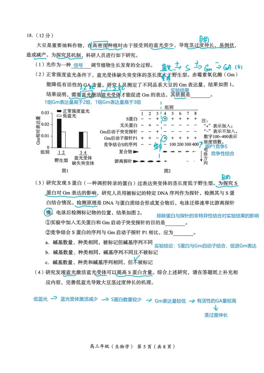 2025-2026北京海淀期中高三生物全解析版